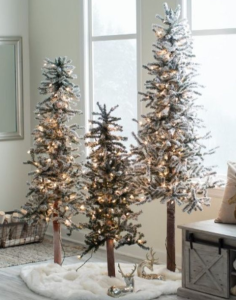 Three slender Christmas trees decorated in white